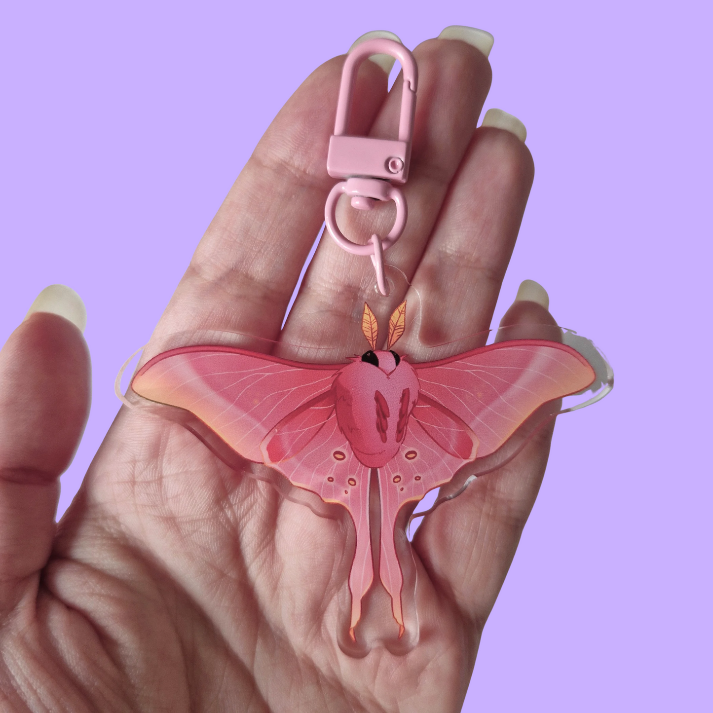 Moth Keyrings