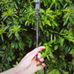 A must have for any Harry Potter fan. These incredible wands were hand created as an exclusive item for The Raven’s Claw by the talented artist Jaded Dragon Creations. Each wand is sculpted, hand cast and individually painted and takes multiple days to make a single wand. Wands measure at roughly 27cm and are made from a flexible material to aid in durability. As they are all made by hand, some slight differences may appear between wands. Wand care: do not bend and avoid contact with moisture.